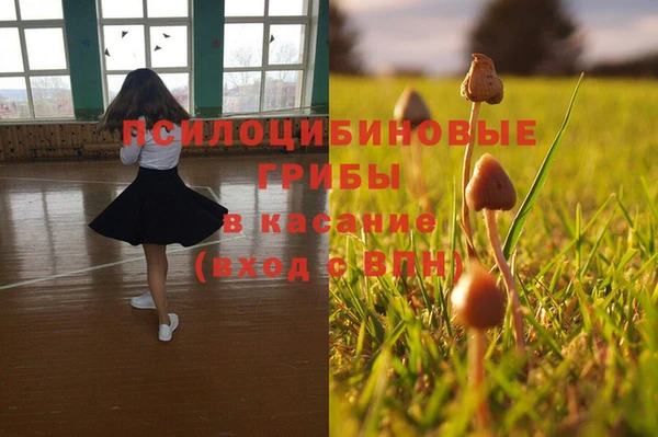 каннабис Аркадак
